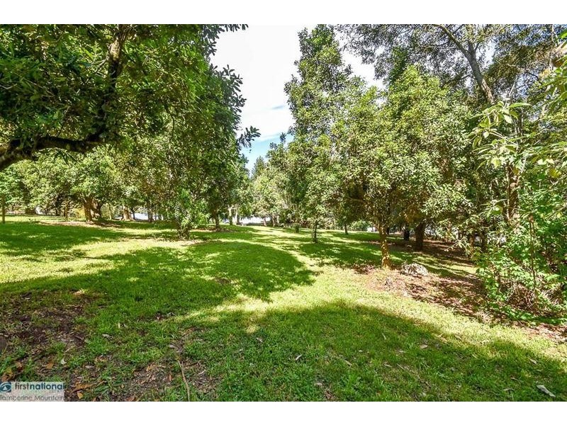 80 Benowa Street, Tamborine Mountain QLD 4272