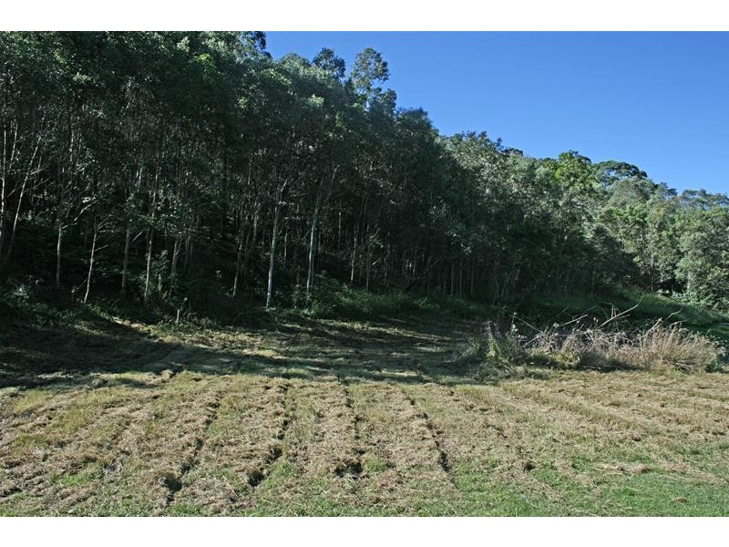 Wongawallan QLD 4210