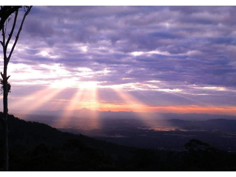 154 Macdonnell Road, Eagle Heights QLD 4271