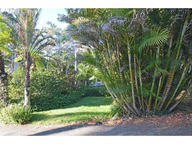 5 Morell Street, Tamborine Mountain QLD 4272