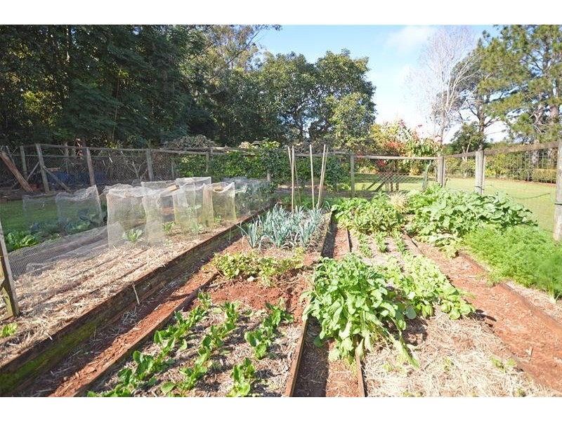 20 White Road, Tamborine Mountain QLD 4272