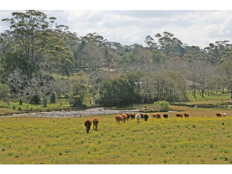 59 Wilson Road, Tamborine Mountain QLD 4272