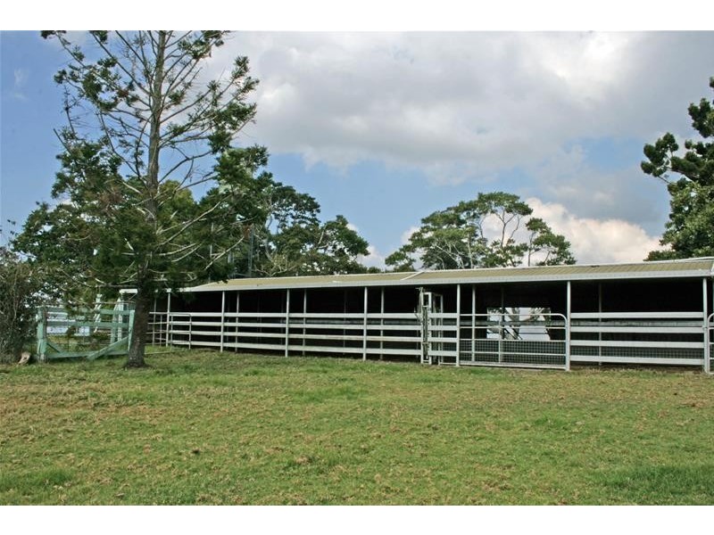 59 Wilson Road, Tamborine Mountain QLD 4272