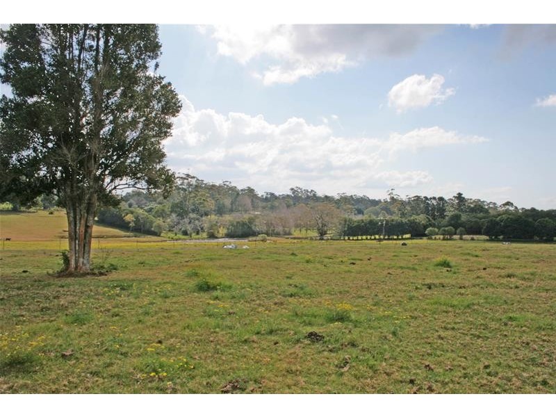 59 Wilson Road, Tamborine Mountain QLD 4272