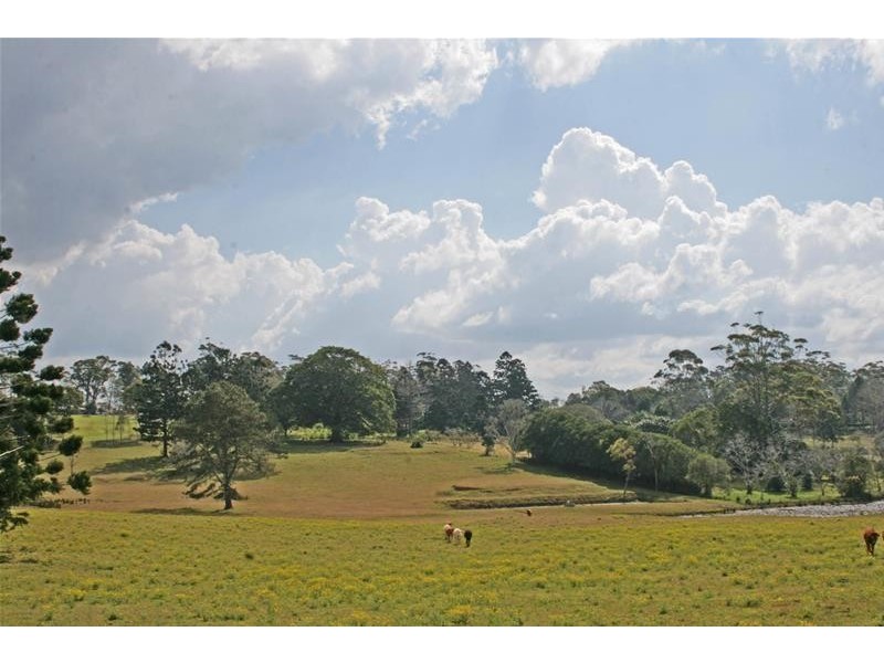 59 Wilson Road, Tamborine Mountain QLD 4272