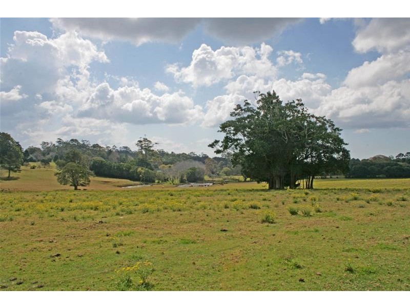 59 Wilson Road, Tamborine Mountain QLD 4272