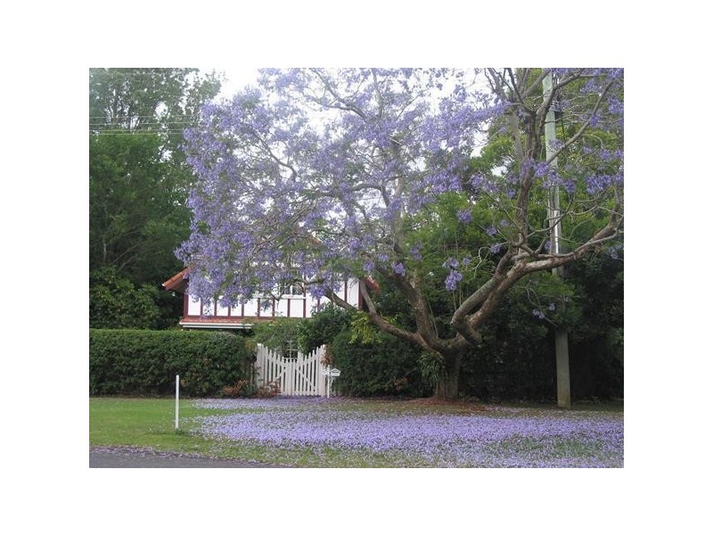 1 Cliff Way, Tamborine Mountain QLD 4272