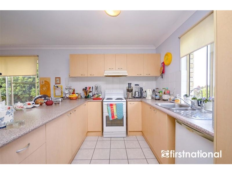313 MacDonnell Road, Tamborine Mountain QLD 4272