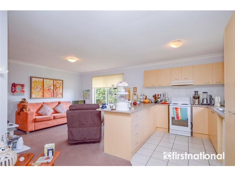 313 MacDonnell Road, Tamborine Mountain QLD 4272