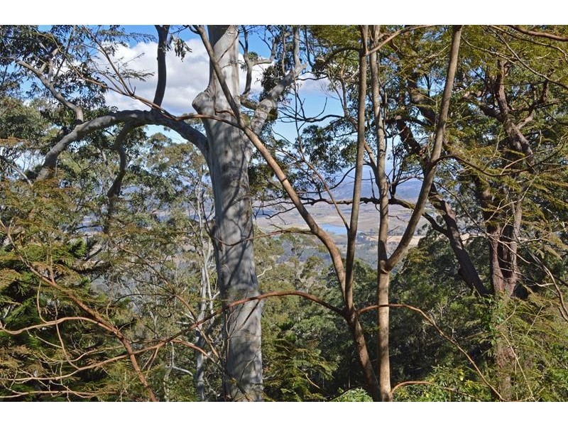 252 Beacon Road, North Tamborine QLD 4272