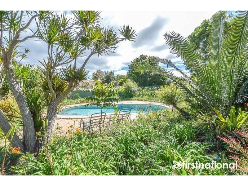 Tamborine Mountain QLD 4272