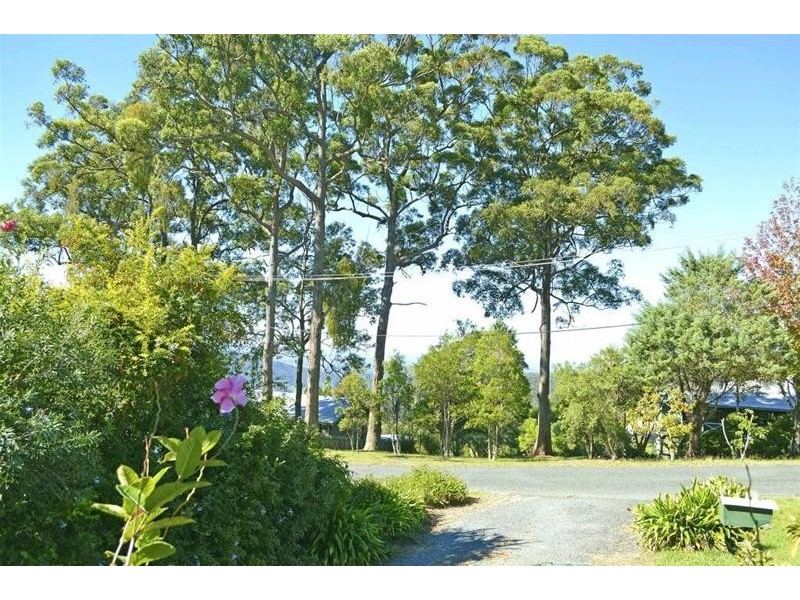 16 Orchis Drive, Tamborine Mountain QLD 4272