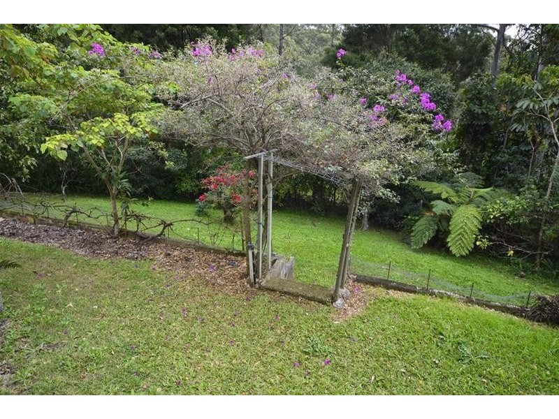 16 Orchis Drive, Tamborine Mountain QLD 4272