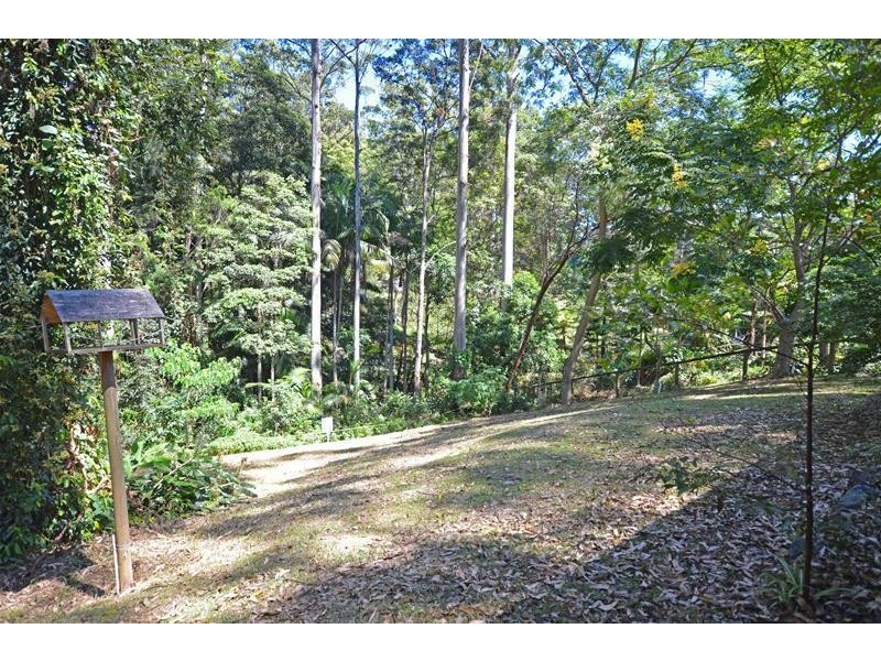 38 Kinabalu Drive, Tamborine Mountain QLD 4272