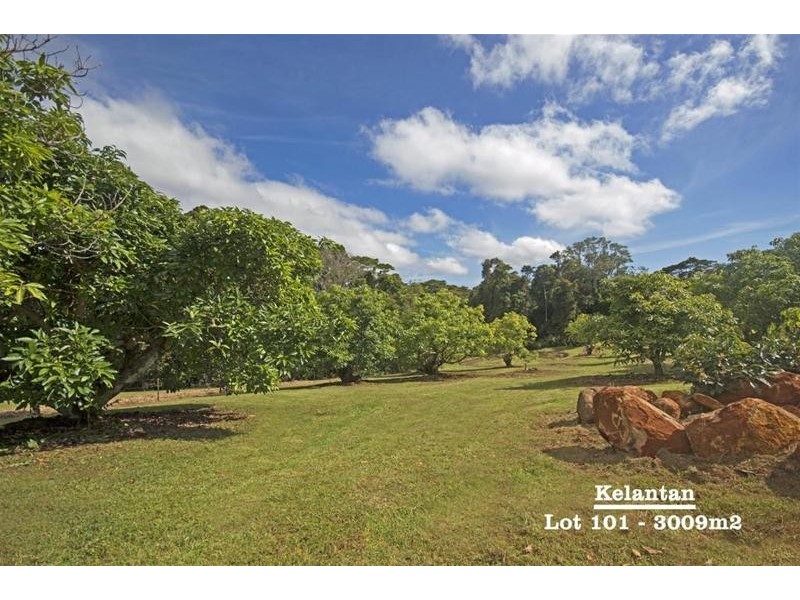 Lot 101/ 130 Curtis Road, Tamborine Mountain QLD 4272