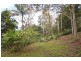 147 Macdonnell Road, Tamborine Mountain QLD 4272