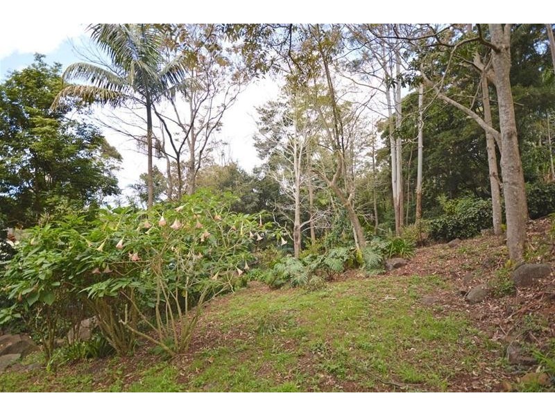 147 Macdonnell Road, Tamborine Mountain QLD 4272