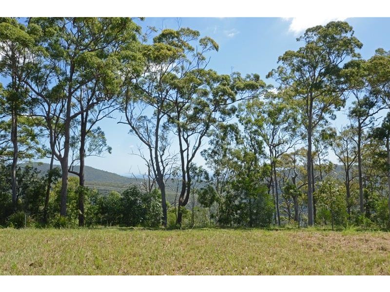 Tamborine Mountain QLD 4272