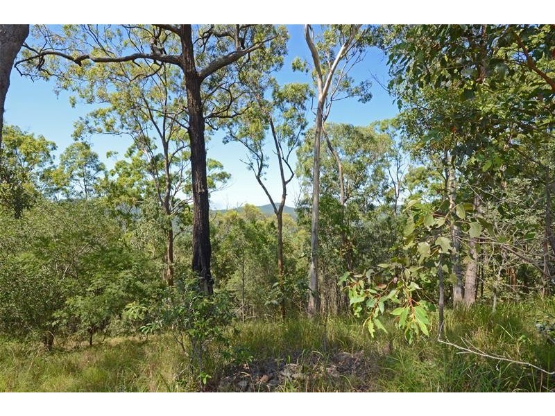 Tamborine Mountain QLD 4272