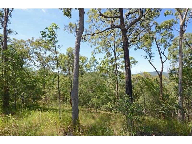 Tamborine Mountain QLD 4272