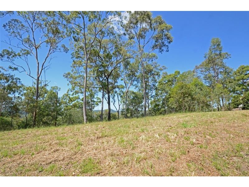 Tamborine Mountain QLD 4272