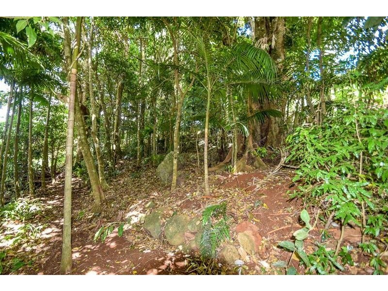 7 Cliff Way, Tamborine Mountain QLD 4272