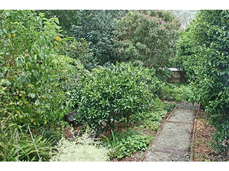 Tamborine Mountain QLD 4272