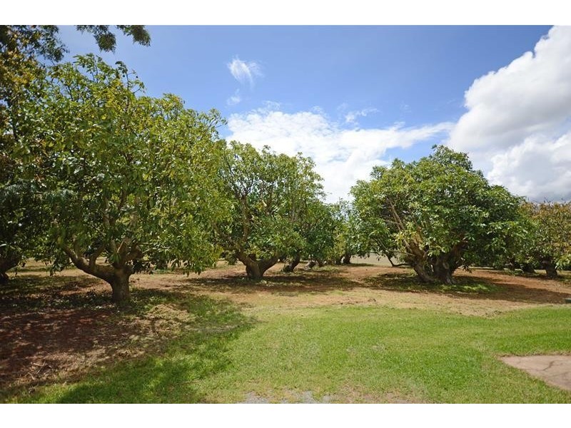 Tamborine Mountain QLD 4272