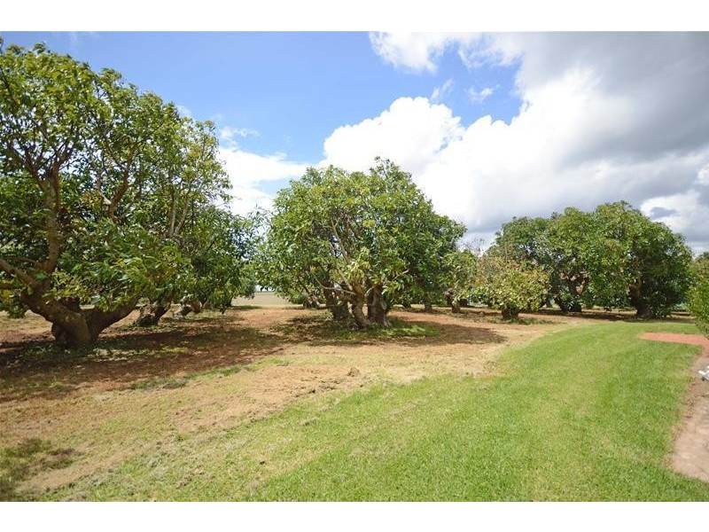 Tamborine Mountain QLD 4272