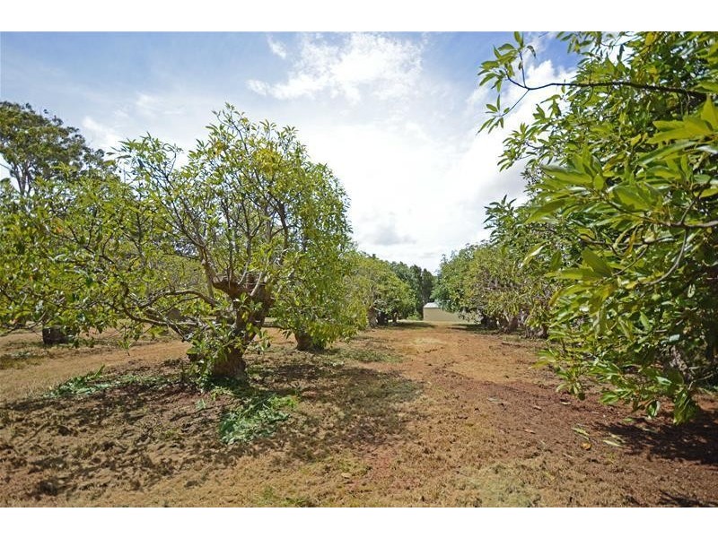 Tamborine Mountain QLD 4272
