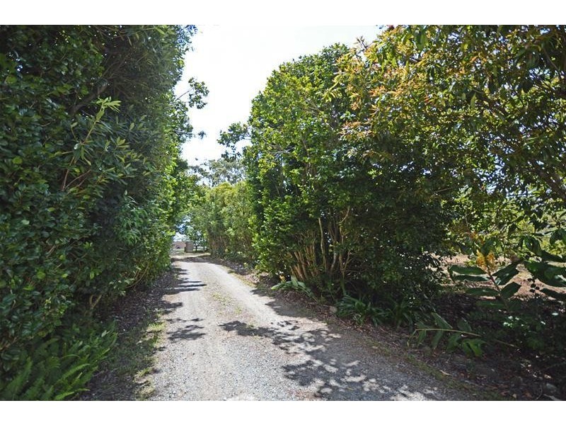 Tamborine Mountain QLD 4272