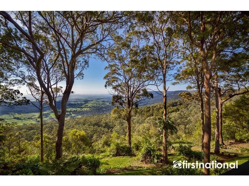 Tamborine Mountain QLD 4272