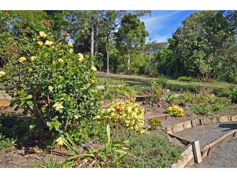 17  Kalmia Court, Tamborine Mountain QLD 4272