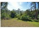 17  Kalmia Court, Tamborine Mountain QLD 4272