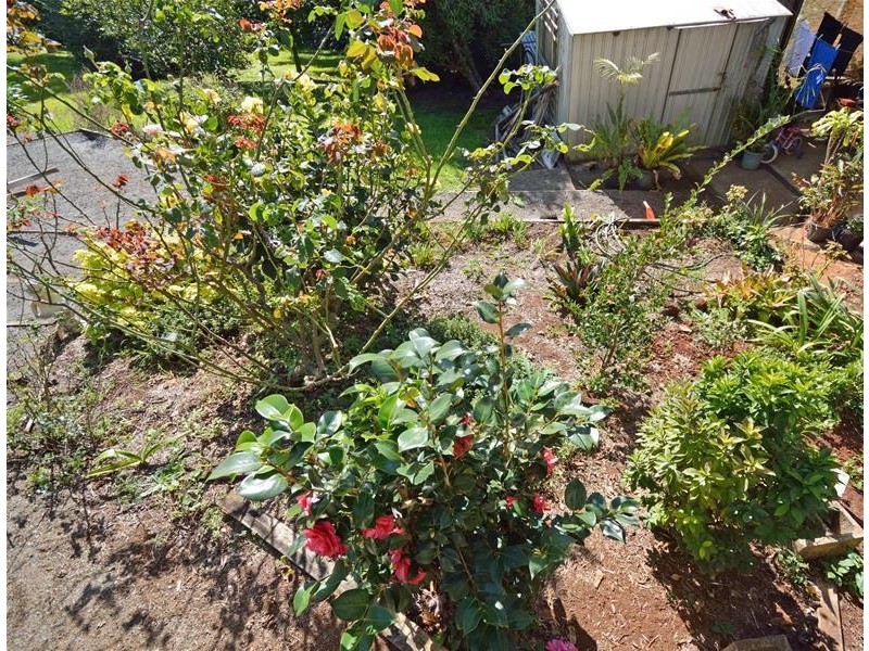 17  Kalmia Court, Tamborine Mountain QLD 4272