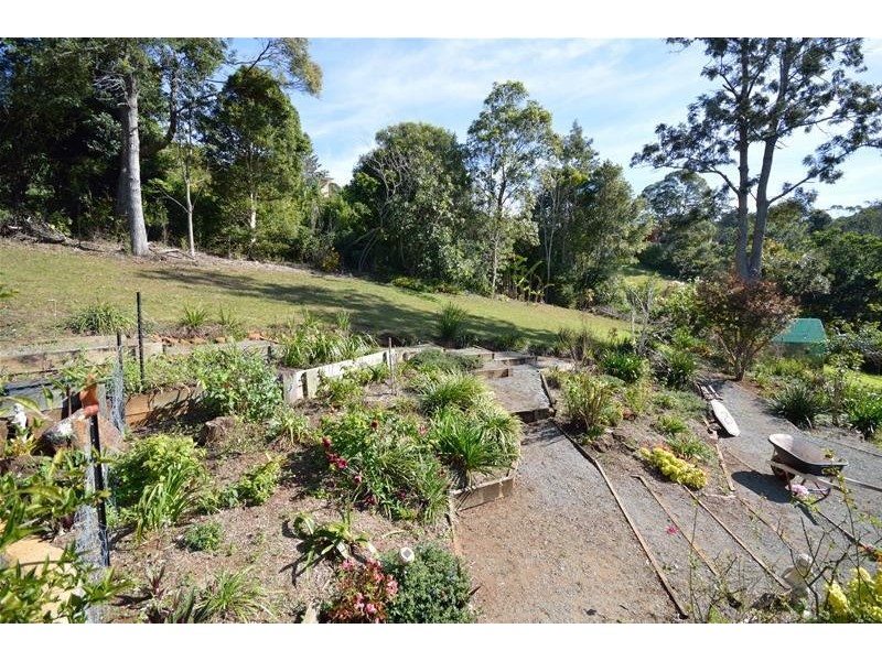 17  Kalmia Court, Tamborine Mountain QLD 4272
