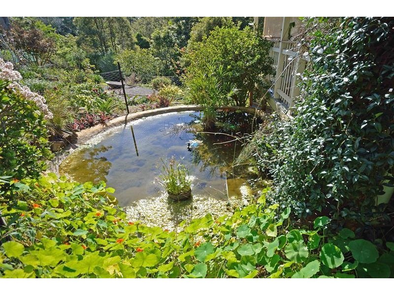 17  Kalmia Court, Tamborine Mountain QLD 4272