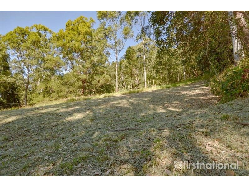 13 Ambon Court, Tamborine Mountain QLD 4272