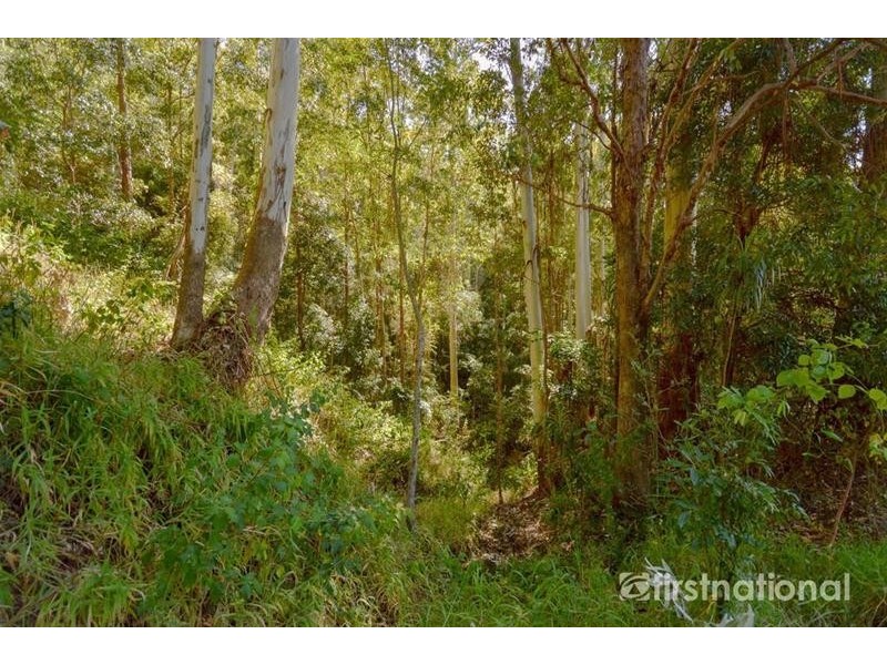 13 Ambon Court, Tamborine Mountain QLD 4272