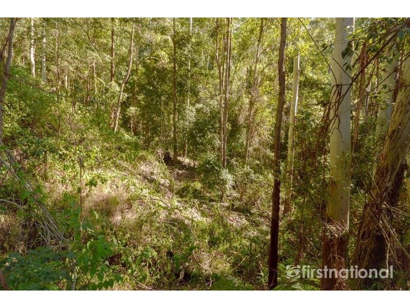 13 Ambon Court, Tamborine Mountain QLD 4272