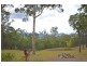 Tamborine Mountain QLD 4272