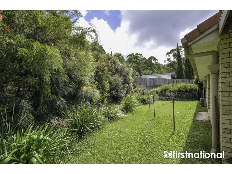 Tamborine Mountain QLD 4272