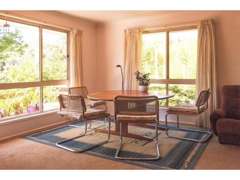 15 Ohia Court, Tamborine Mountain QLD 4272