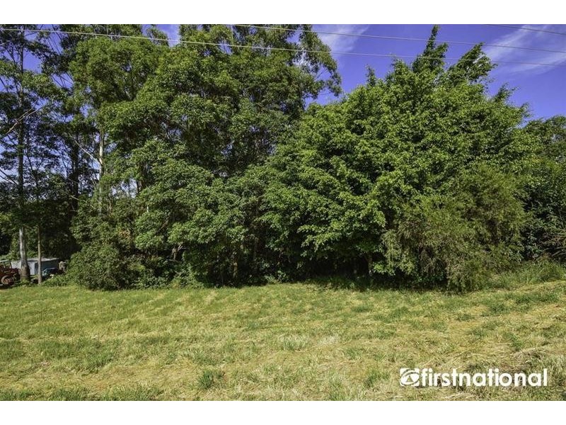 Tamborine Mountain QLD 4272