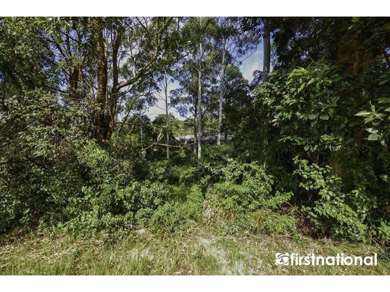 Tamborine Mountain QLD 4272