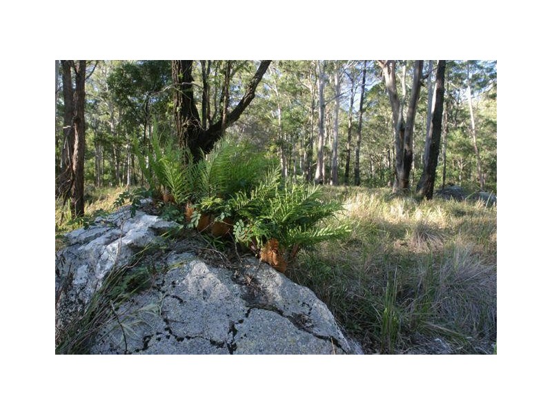 12/905 Tamborine Mountain Road, Tamborine Mountain QLD 4272