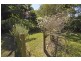 47-49 Caryota Court, Tamborine Mountain QLD 4272