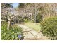 47-49 Caryota Court, Tamborine Mountain QLD 4272