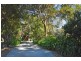 47-49 Caryota Court, Tamborine Mountain QLD 4272