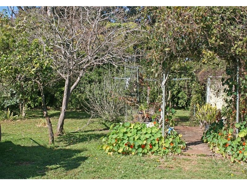 9 Arenga Drive, Tamborine Mountain QLD 4272